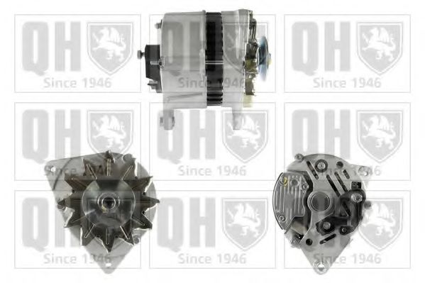 QUINTON HAZELL QRA1437