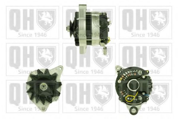 QUINTON HAZELL QRA2183